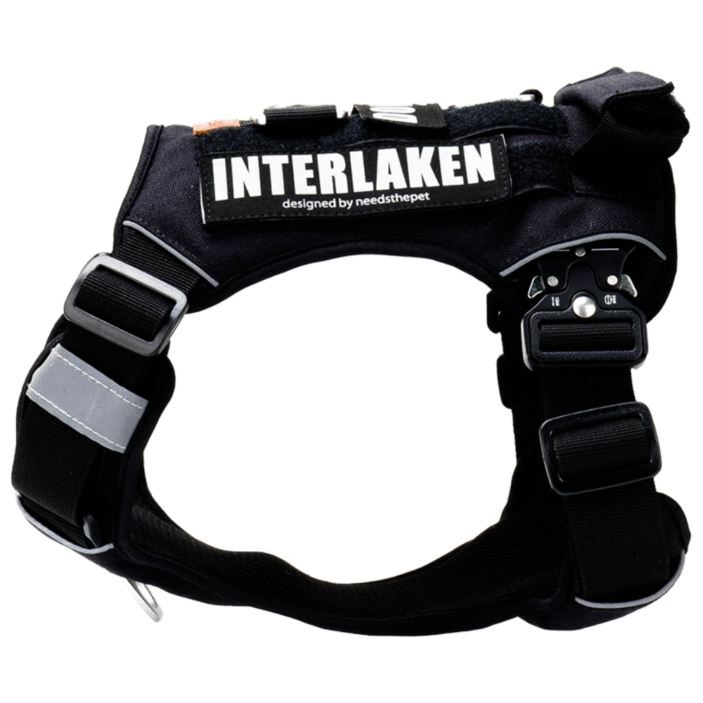 인터라켄 중형견 대형견 커스텀 강아지 하네스 38,000원