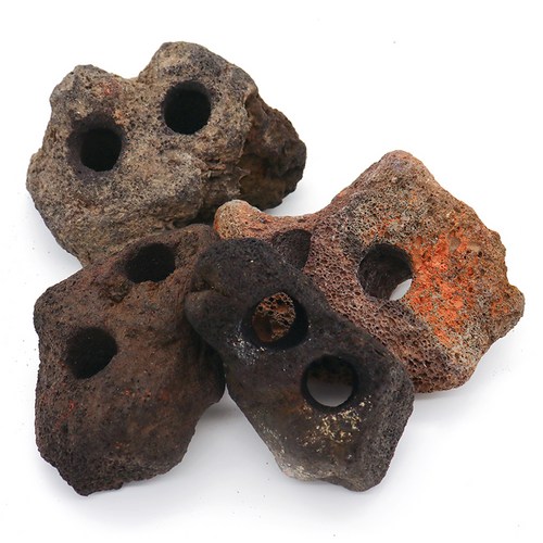 미미네아쿠아 수초 활착용 2구 화산석 블랙 랜덤발송 324,140원