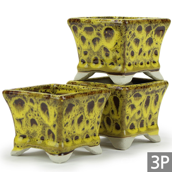 세인화분 국산 여주 사각 다육이 화분 3개세트 8,500원