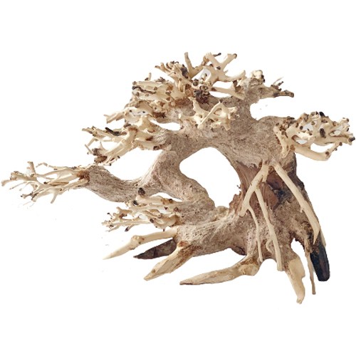 KD 모스트리 분재 유목 S100 37,810원