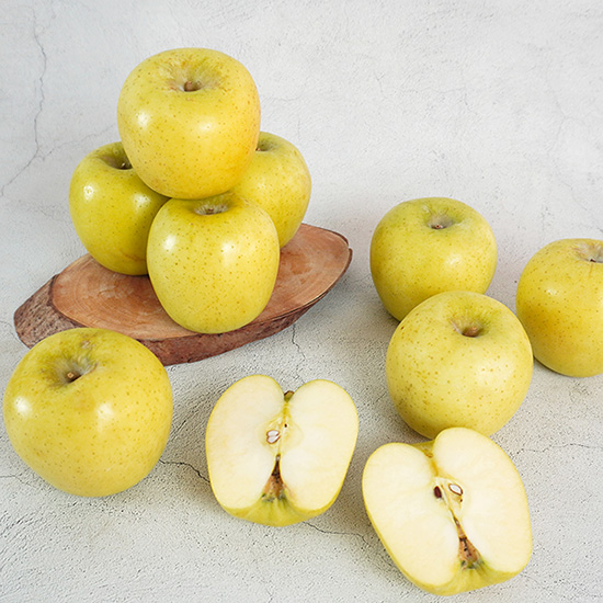 [더조은푸드] 황금사과 시나노골드 가정용 5kg (과수선택), 5kg(13-15과), 1개 29,900원