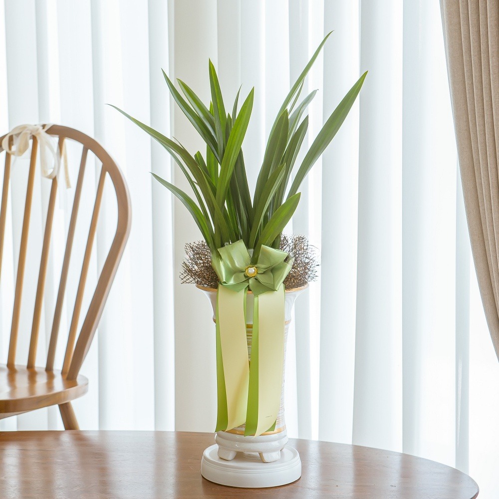 나눔플라워 전국 저가 동양란 취임 진급 승진 승진란 진급란 개업 개업란 축하 꽃배달서비스 당일꽃배달, 1개, 현재가 59,000원