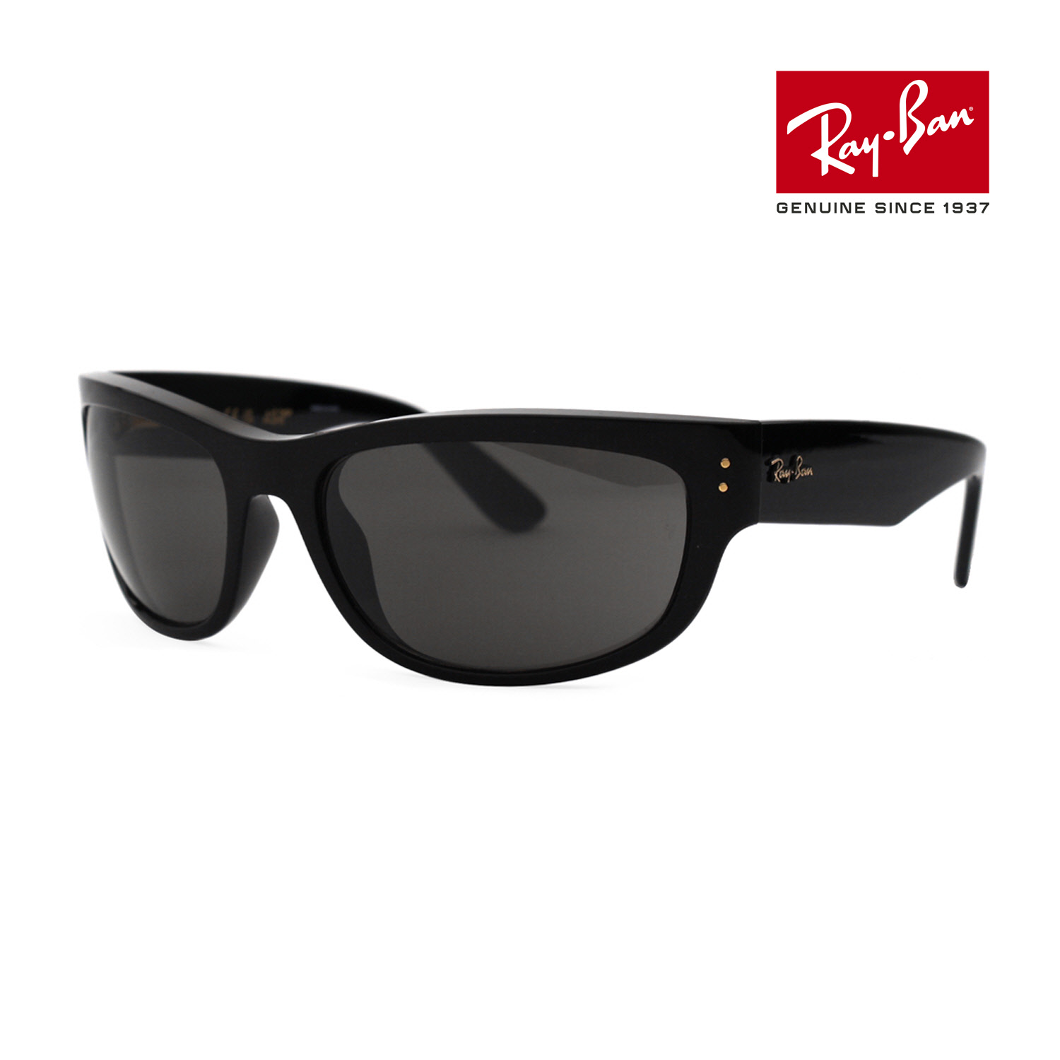 레이밴 RB2289 6826J5 공식수입 에이셉 라키 메가 발로라마 고글형 오버 뿔테 레이벤 선글라스 291,320원