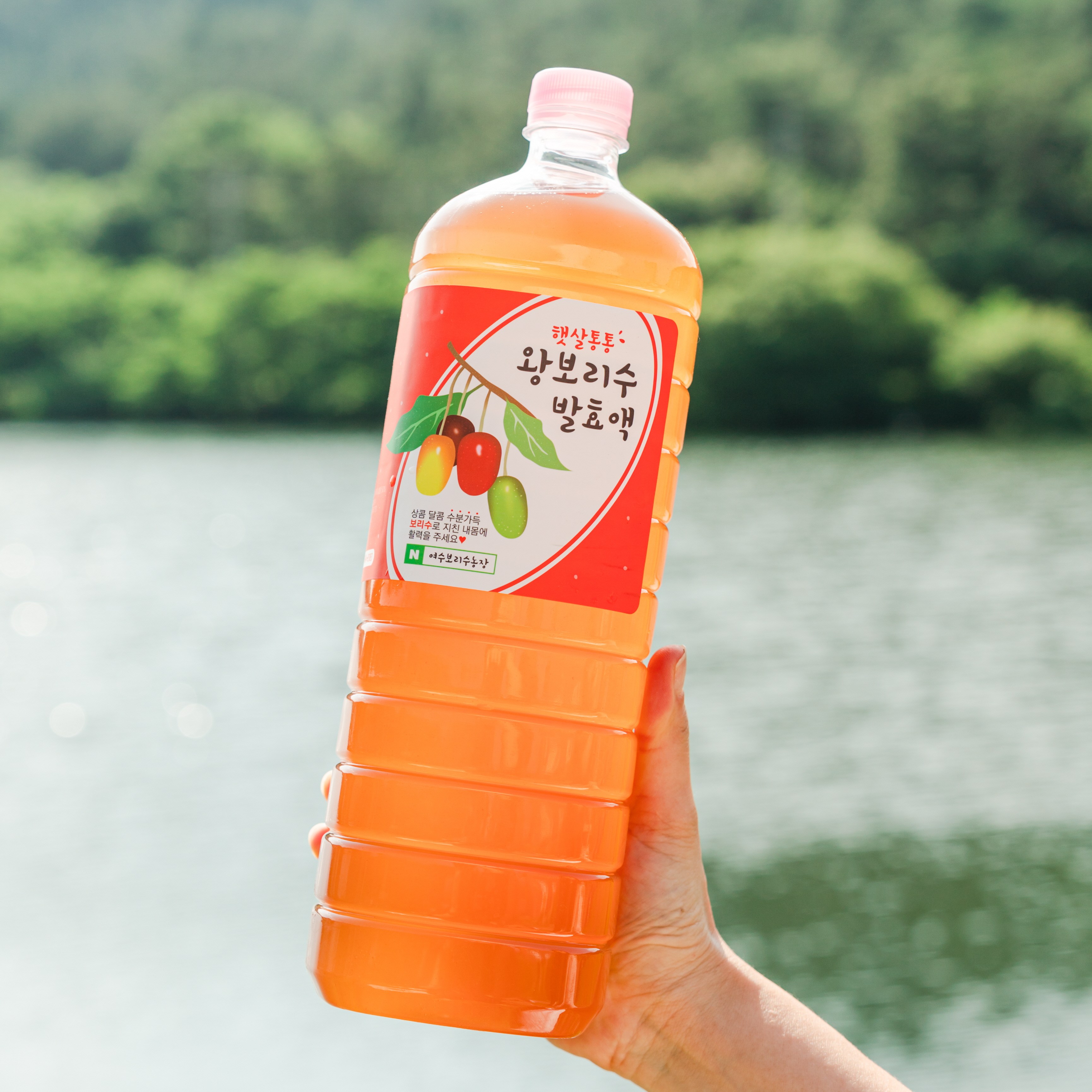 2년숙성 보리수발효액 보리수효소 보리수청 엑기스 가정용 아그데뜰 43,000원