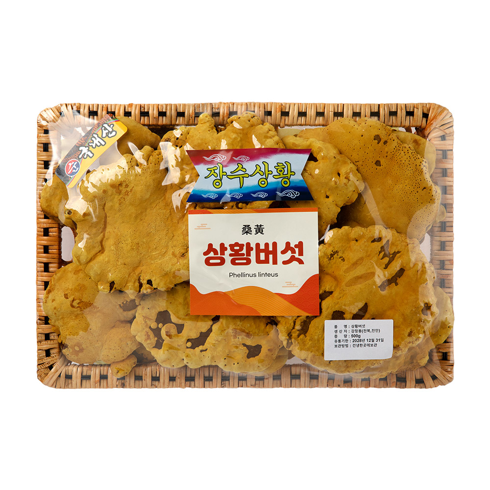 [예운당] 국산100% 상황버섯 500g (고급바구니 선물세트), 1개, 500g 104,900원