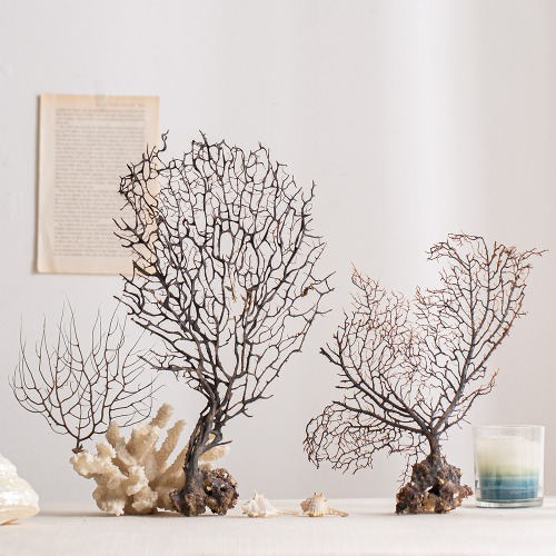 건산호 1P 수족관 인테리어 소품 바다 여름 해변 어항 장식 10,000원