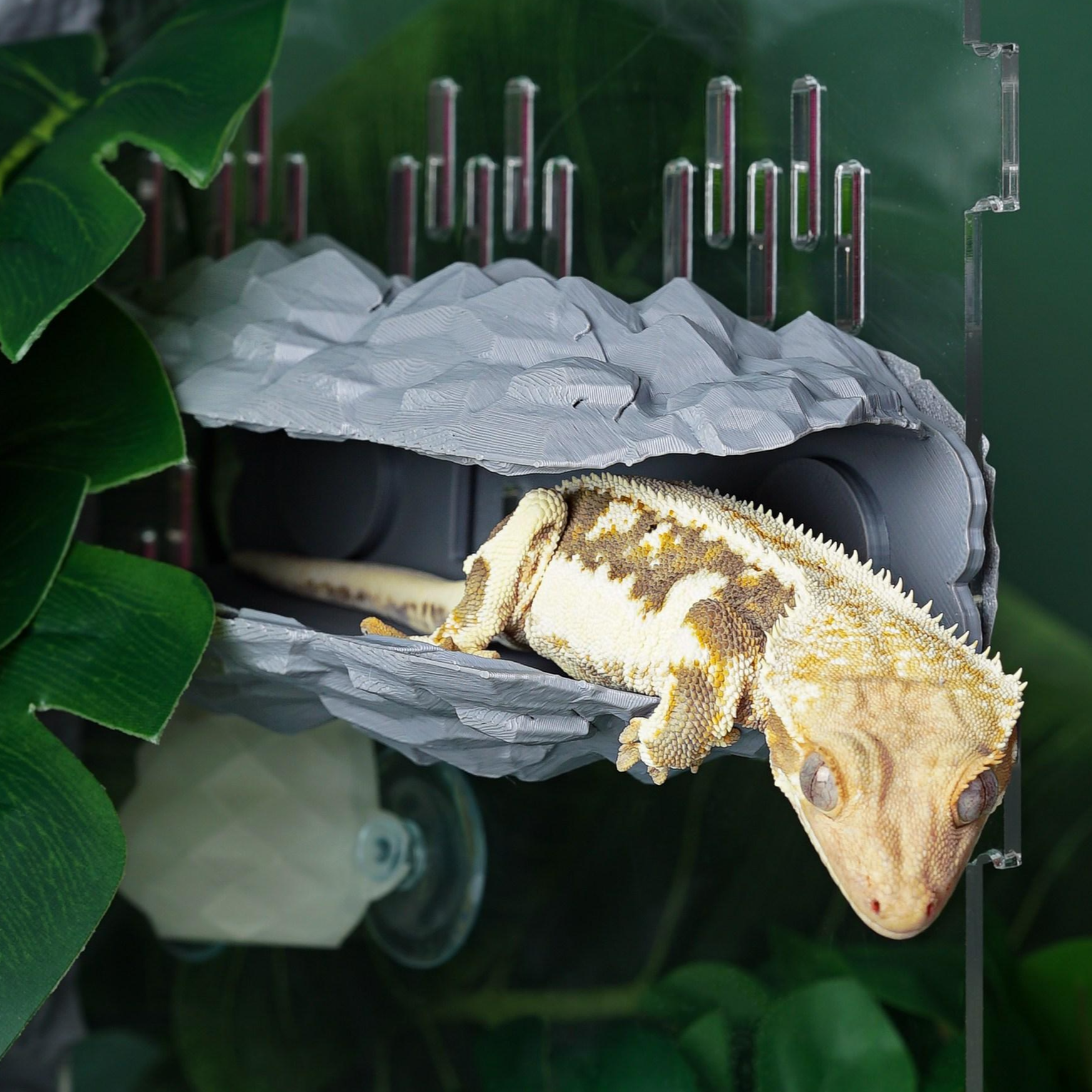 테라돔 도마뱀 안식처, 1개 16,900원