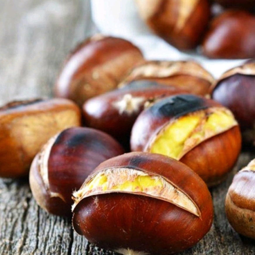 (무료배송) 조은먹거리 25년 햇 약단밤 칼집생밤 단밤 군밤용, 1개, 약단밤 12,900원