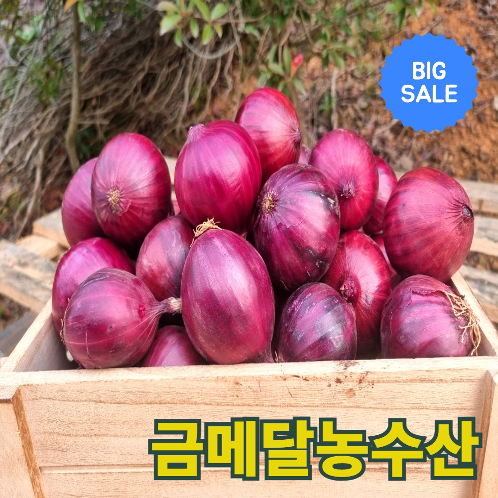 금메달농수산 산지직송 25년 무안 자색 햇양파 15,900원