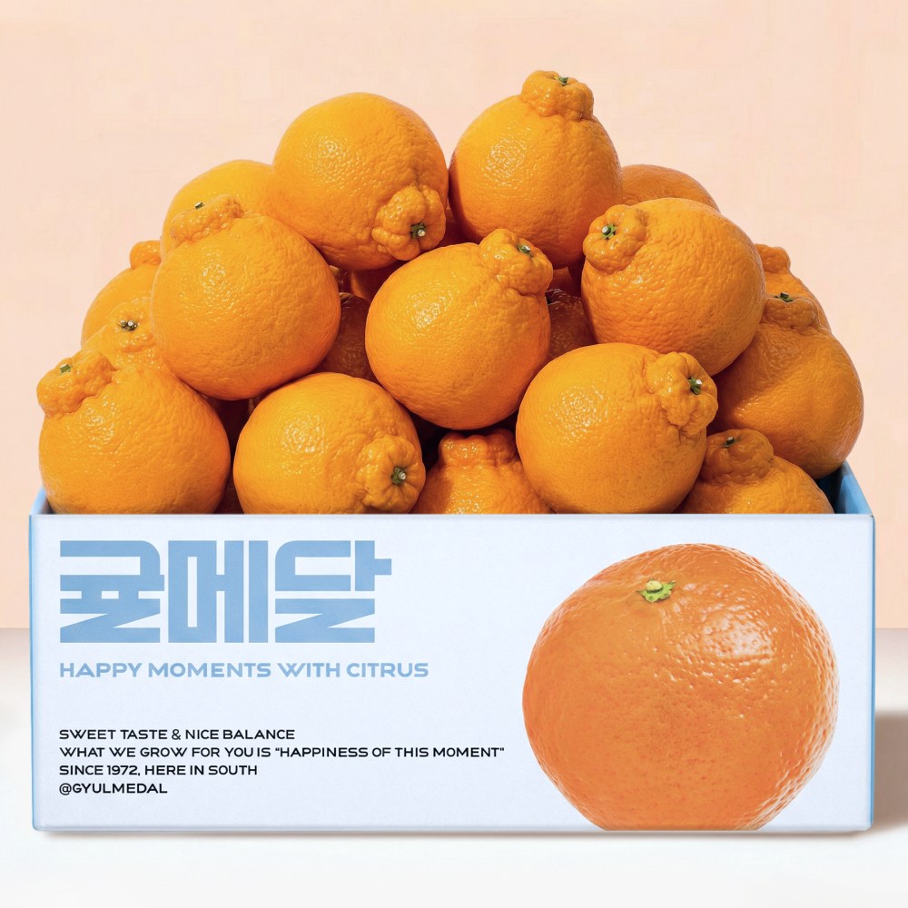 [산지직송] 당도절정 꿀라봉 제주 한라봉 특품 당도선별 할라봉 꿀라봉 14브릭스 21,900원