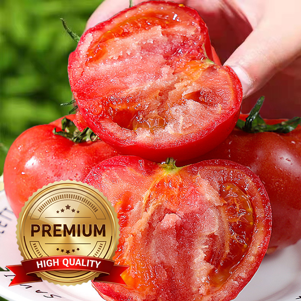 [설맞이할인] 딱100박스만 파격초특가 맛있게잘익은 완숙토마토 18,900원