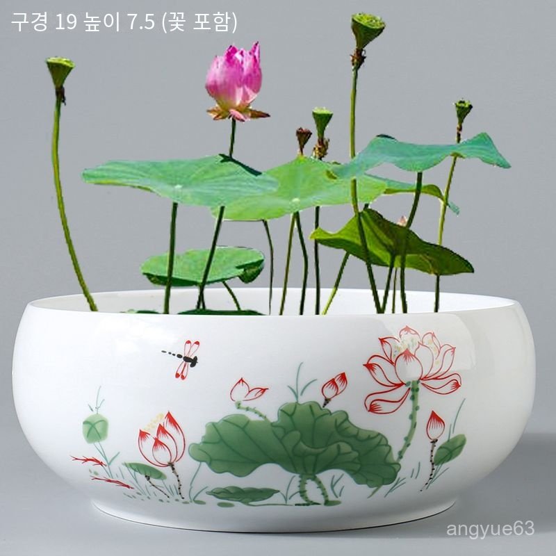 연꽃 수반 도자기 실내 연못  정원 발코니 거실 25,080원
