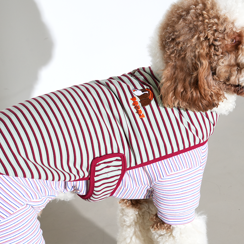 퍼피갤러리 강아지 잼잼 스트라이프 랩 베스트, 민트, 1개 40,000원