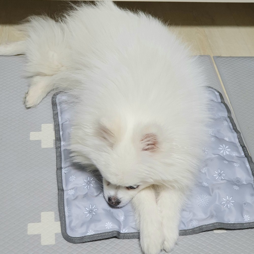 꼼띠아 눈꽃 다이아 쿨매트 중형 싱글세트 9,800원