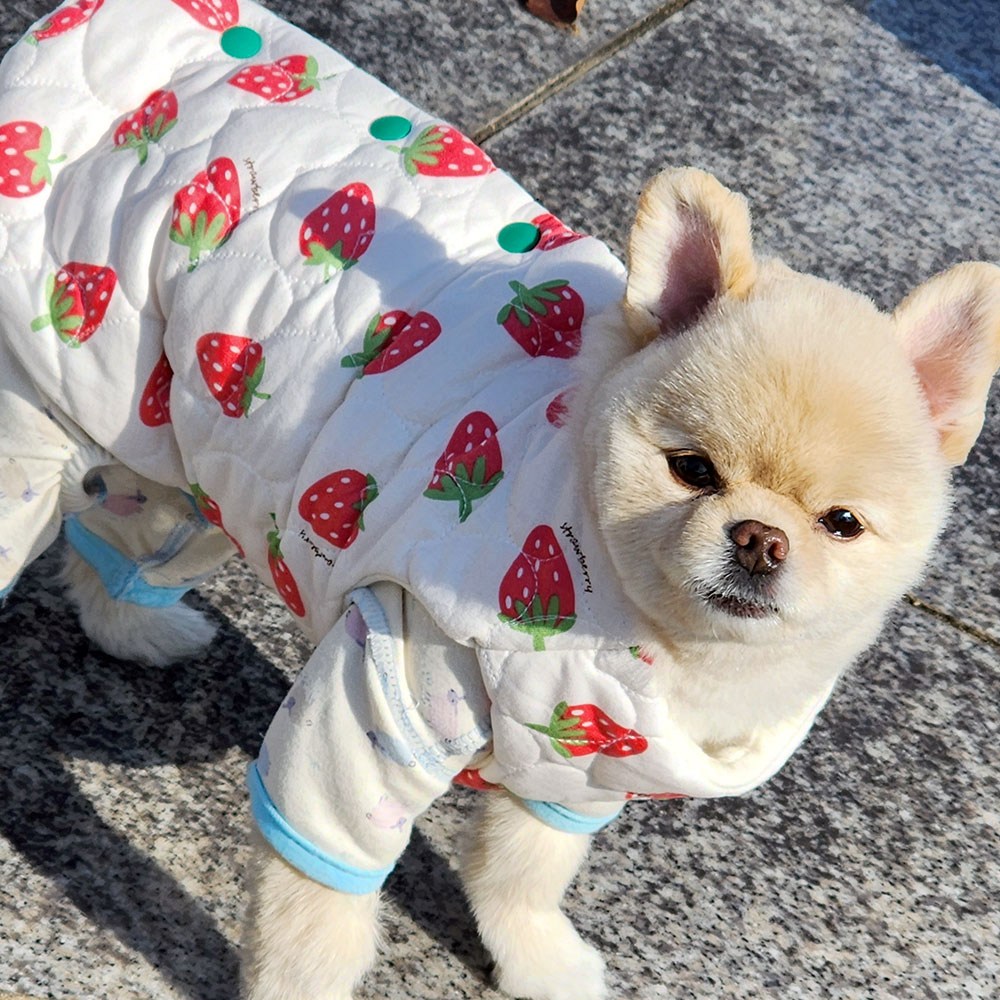 해피앤퍼피 강아지옷 조끼 경량 패딩 59,800원