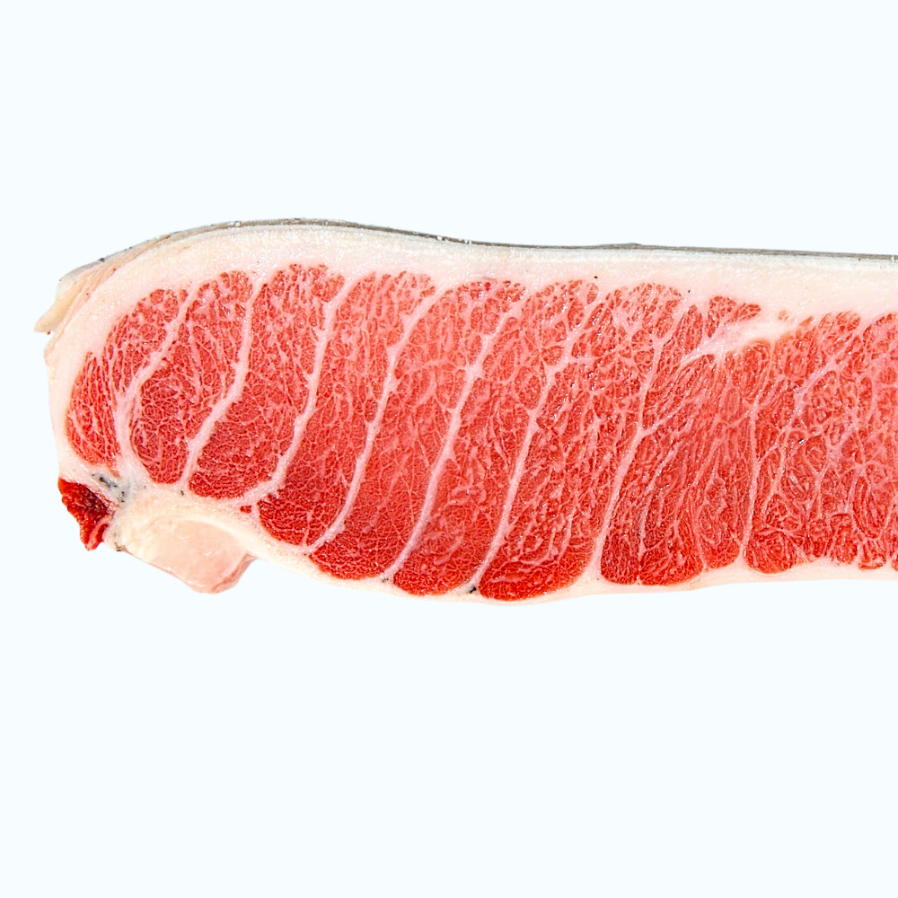 [VIP참치] 마블링 가득 참다랑어 가마도로 참치회 대뱃살 통참치, 1개, 가마도로 650~700g 62,800원