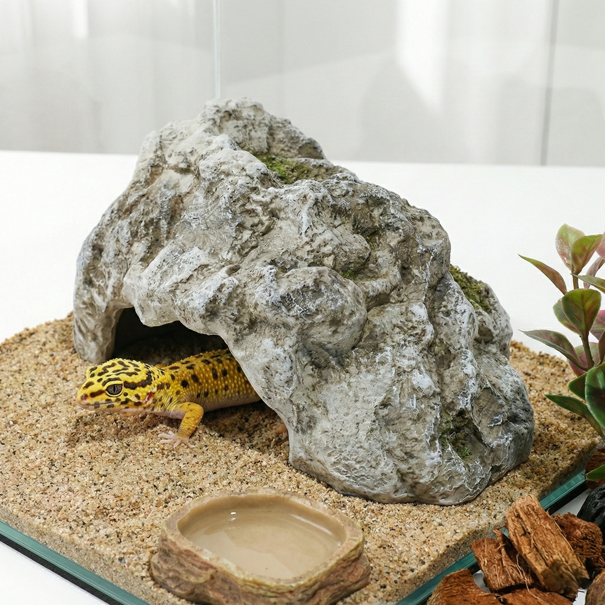 데이리즘 도마뱀 파충류 은신처 바위 동굴형 9,890원