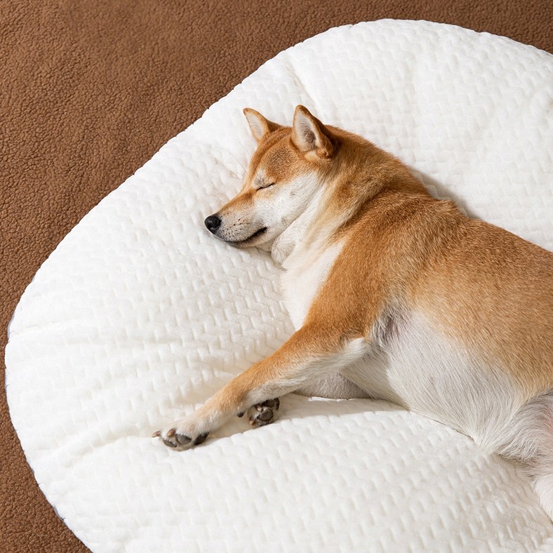 푹신한 강아지 매트 쿠션 방석 애견쇼파 애견쿠션 18,900원
