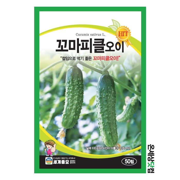 꼬마피클오이 50립 / 씨앗 종자 텃밭 오이 식재료 절임 샐러드, 1개, 현재가 4,000원