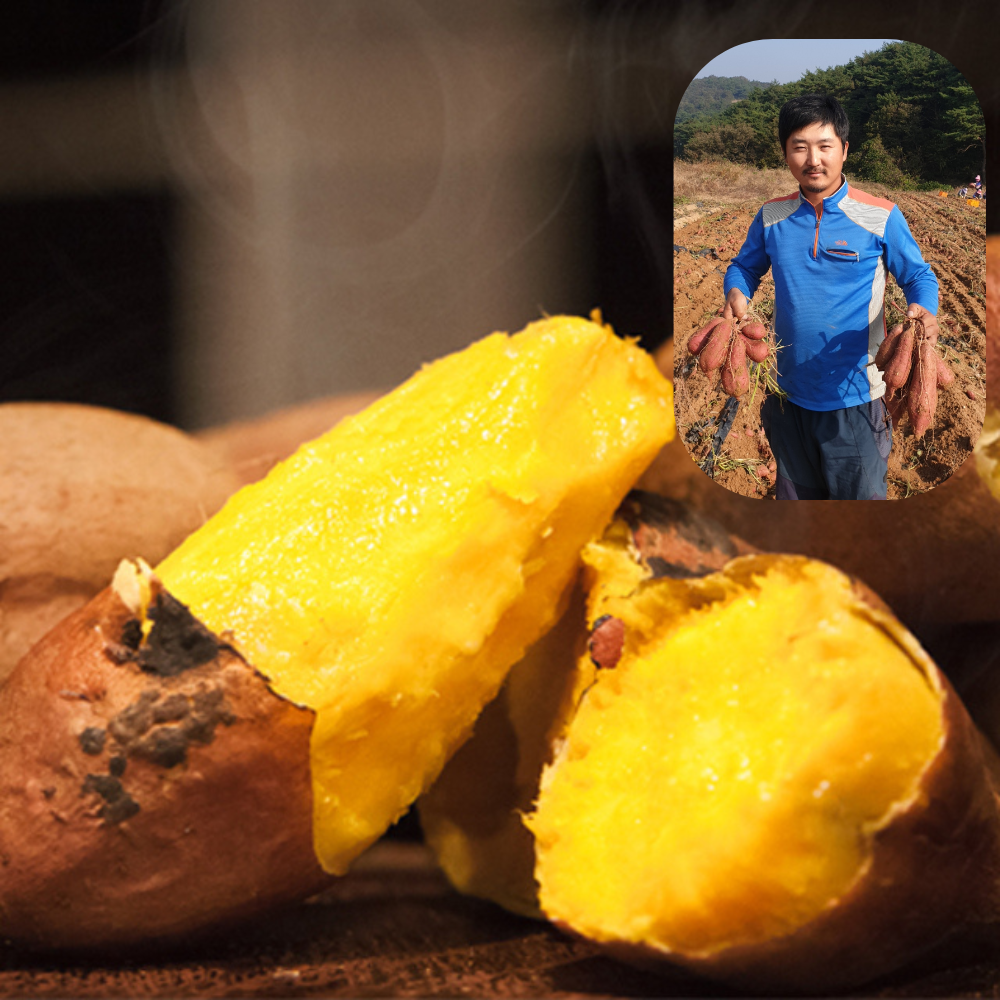[농부직판]안면도 호박고구마! 호풍미 3KG,5KG,10KG,, 상품5kg(100~300g), 1개 24,500원