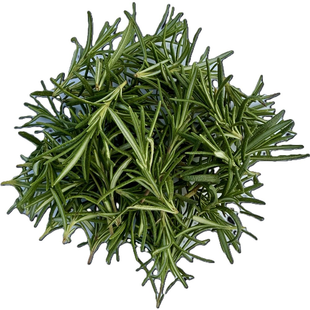 데코용 로즈마리 짧은잎 유기농허브, 1개, 50g 19,500원