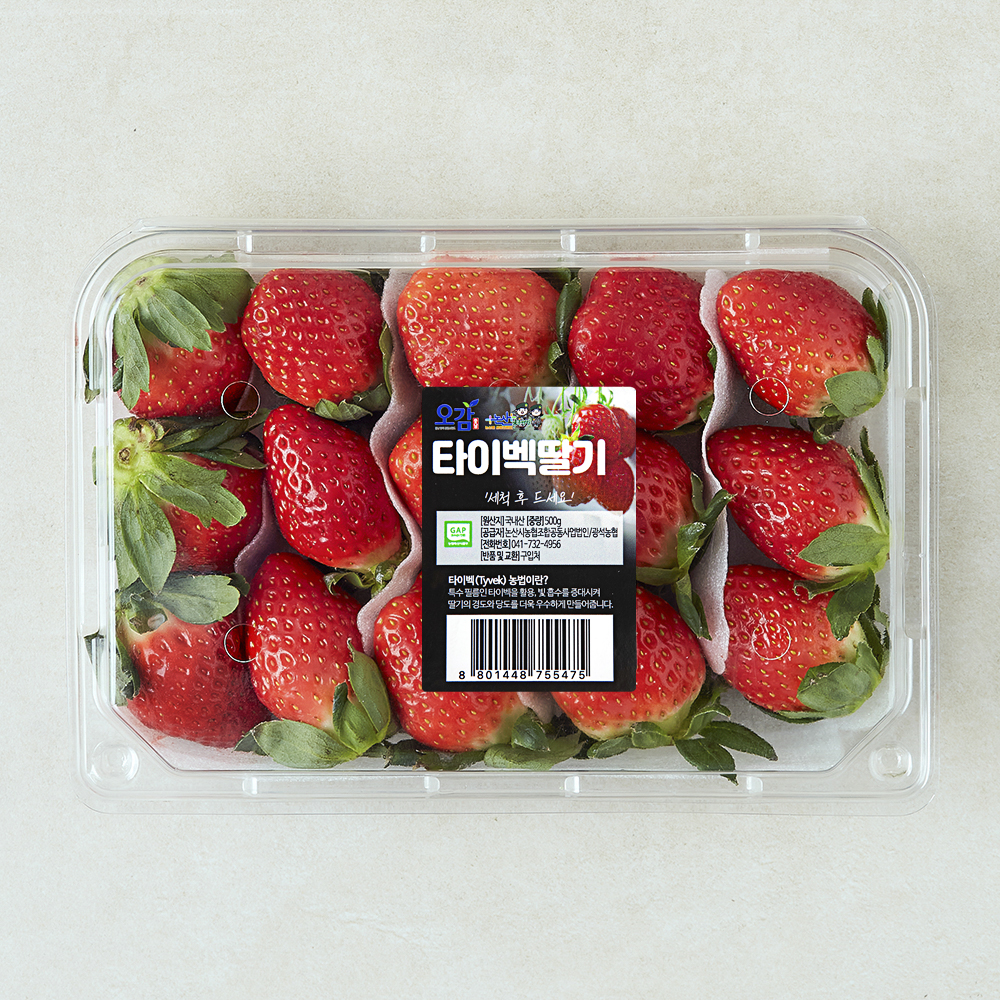 [로켓프레시] 충남오감 타이벡딸기 7,380원