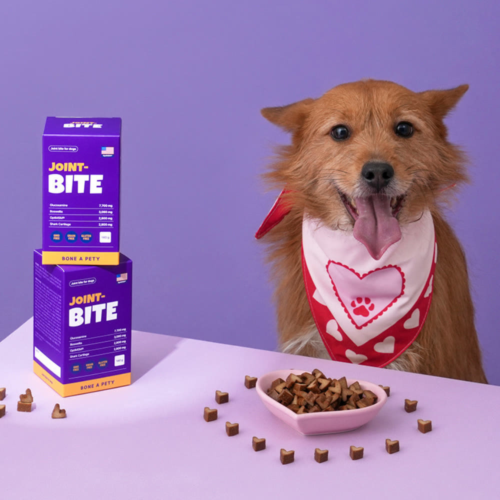 본아페티 초고함량 강아지 관절 영양제 슬개골 근육 관리용 조인트바이트 140g, 1개 35,800원