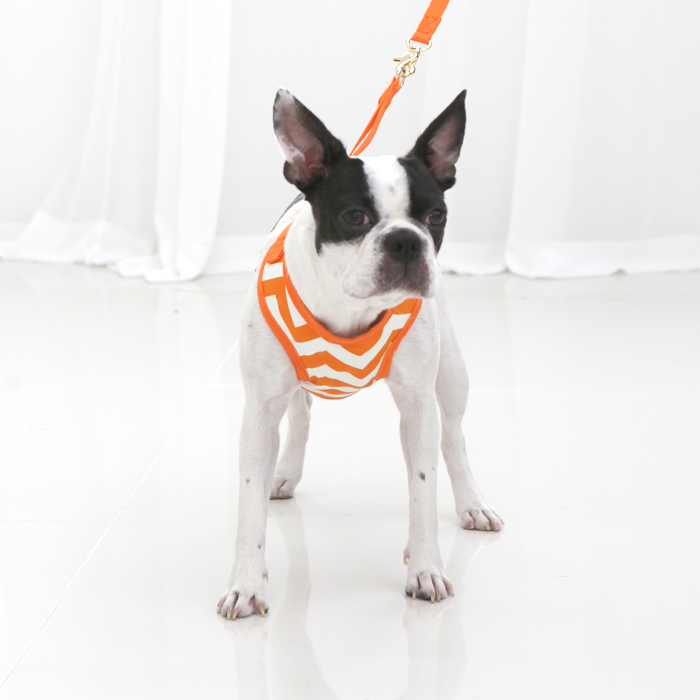 레드퍼피 강아지 알레스카 얼음 쿨 하네스 + 리드줄 15,900원