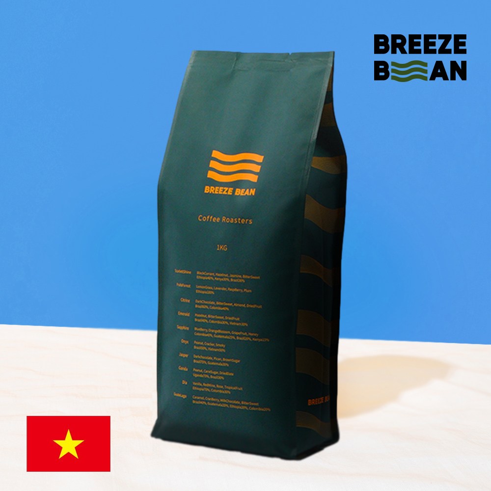 브리즈빈 베트남 로부스타 G1 커피 원두, 홀빈(분쇄안함), 1kg, 1개 17,500원