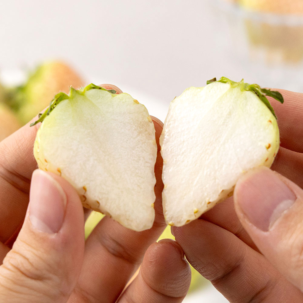 [타임세일] 선물추천_하얀 딸기~ 고당도 논산 만년설 딸기 700/1,400g(특), 1개, 특 700g(20-30구) 45,900원