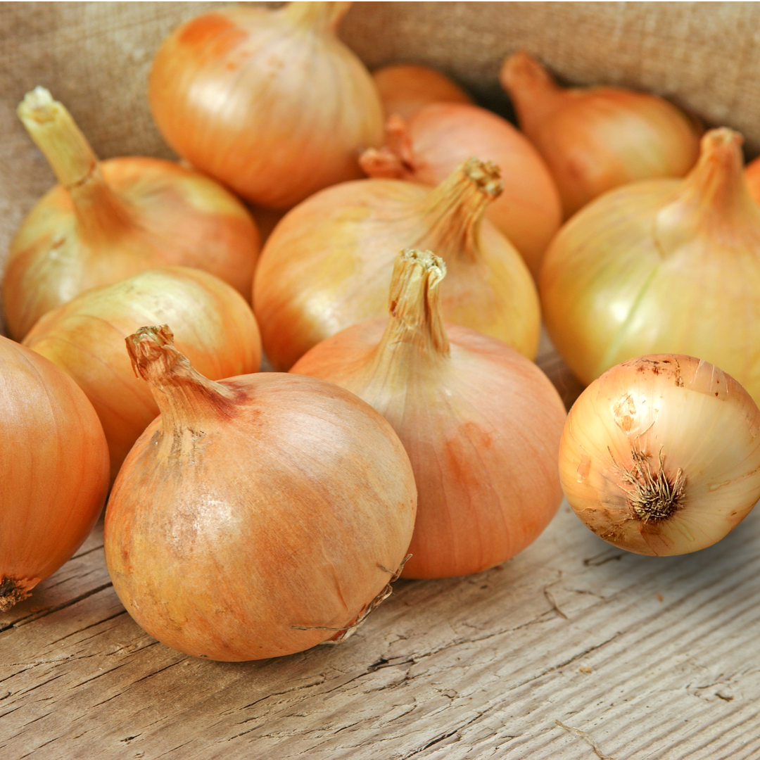 채소다움 국내산 햇양파 무안양파 8,500원