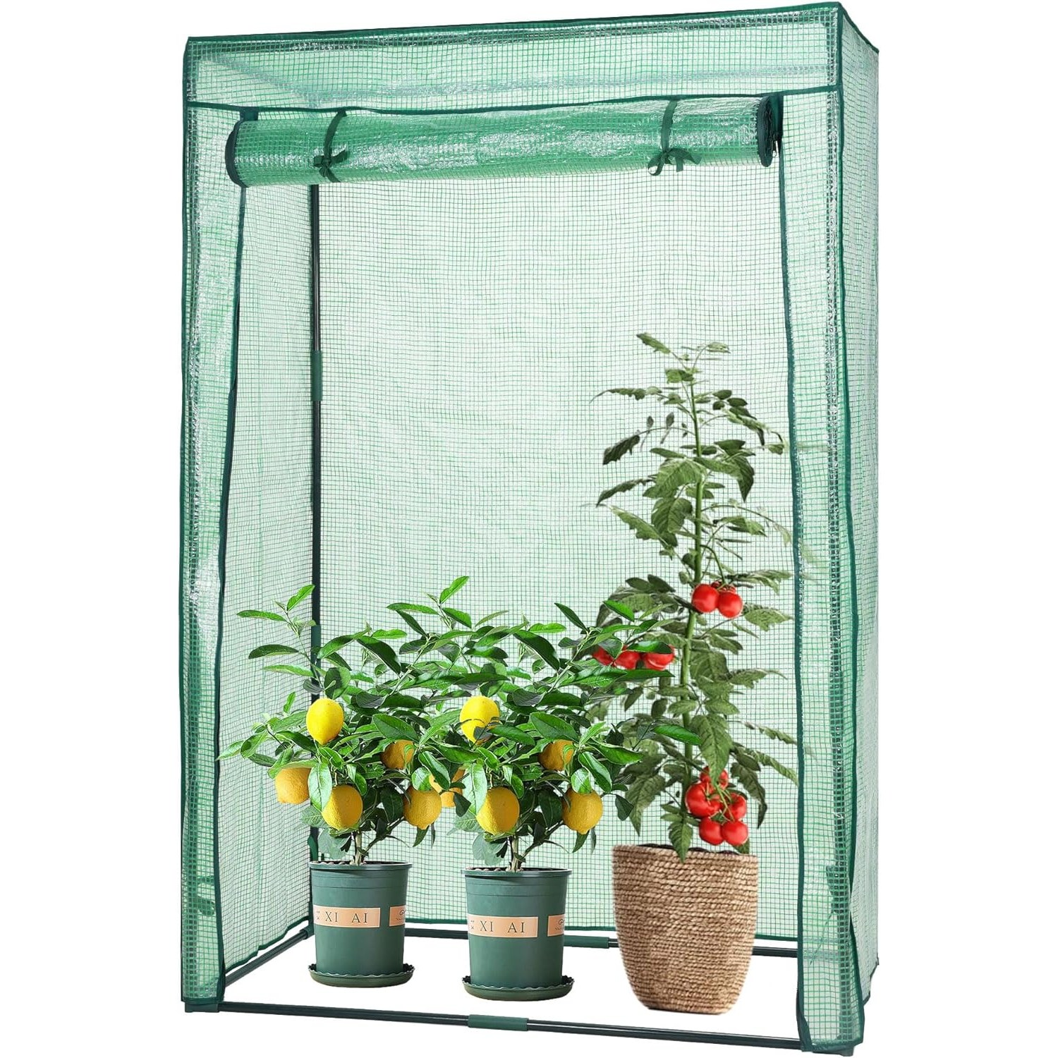 [파격 세일] 대형 조립식 온실하우스 정원용 가정용 방풍 방수 원예 비닐하우스 식물 재배 길고양이 겨울집, 1개, 그린 32,130원