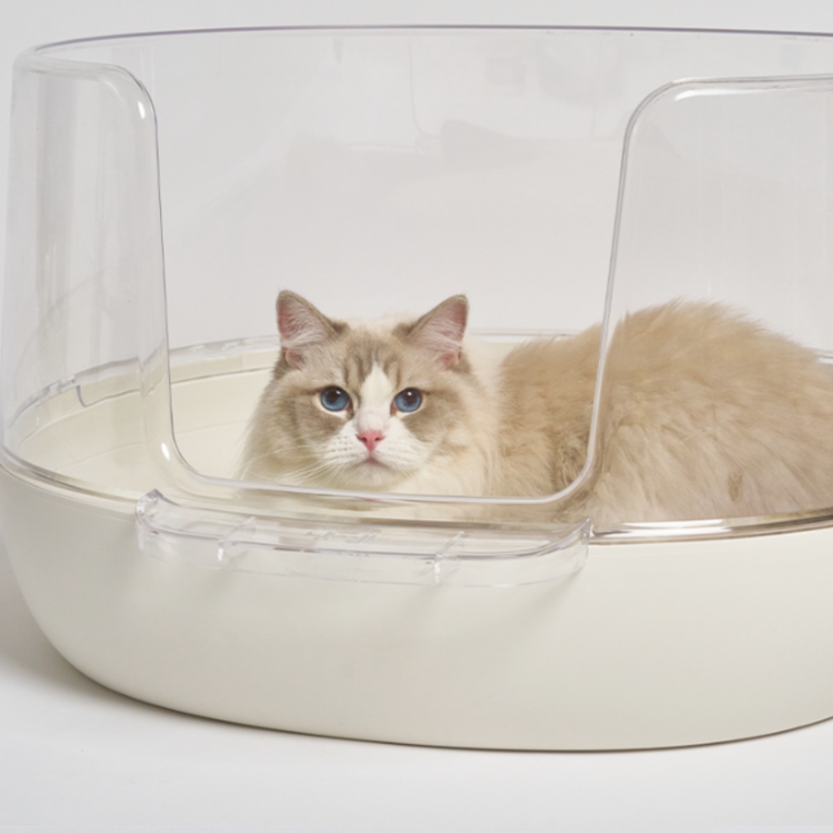냥쌤 고양이 투명화장실 오픈형 대형 배변통, 1개, 화이트 58,000원
