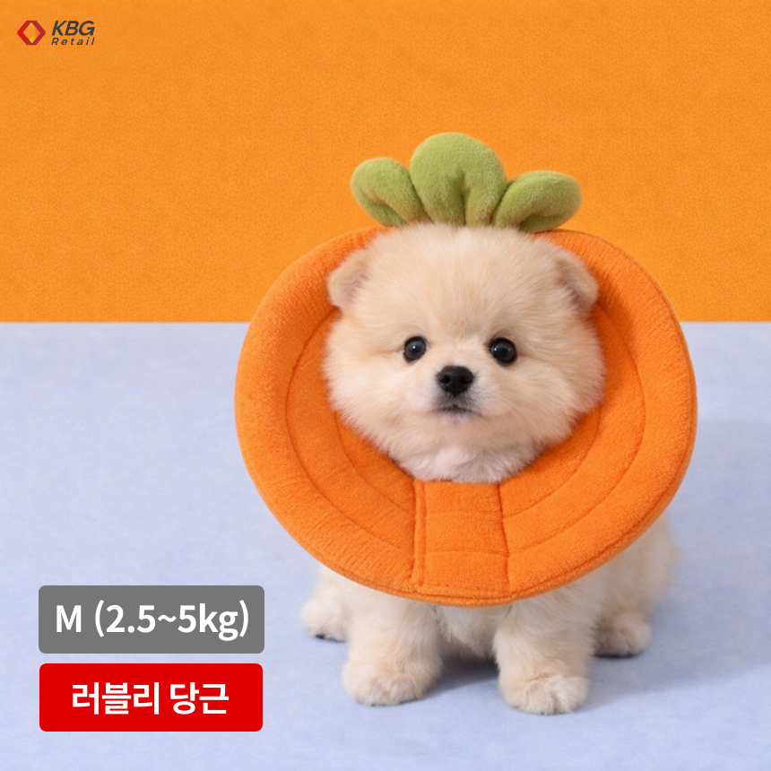 케이비지리테일 허니캐럿 강아지 넥카라 폭신하고 귀여운 꿀벌 당근 모양 13,900원