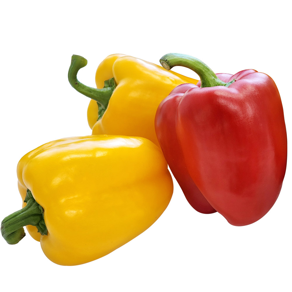 국내산 특품 파프리카 빨강 노랑 혼합 12,900원