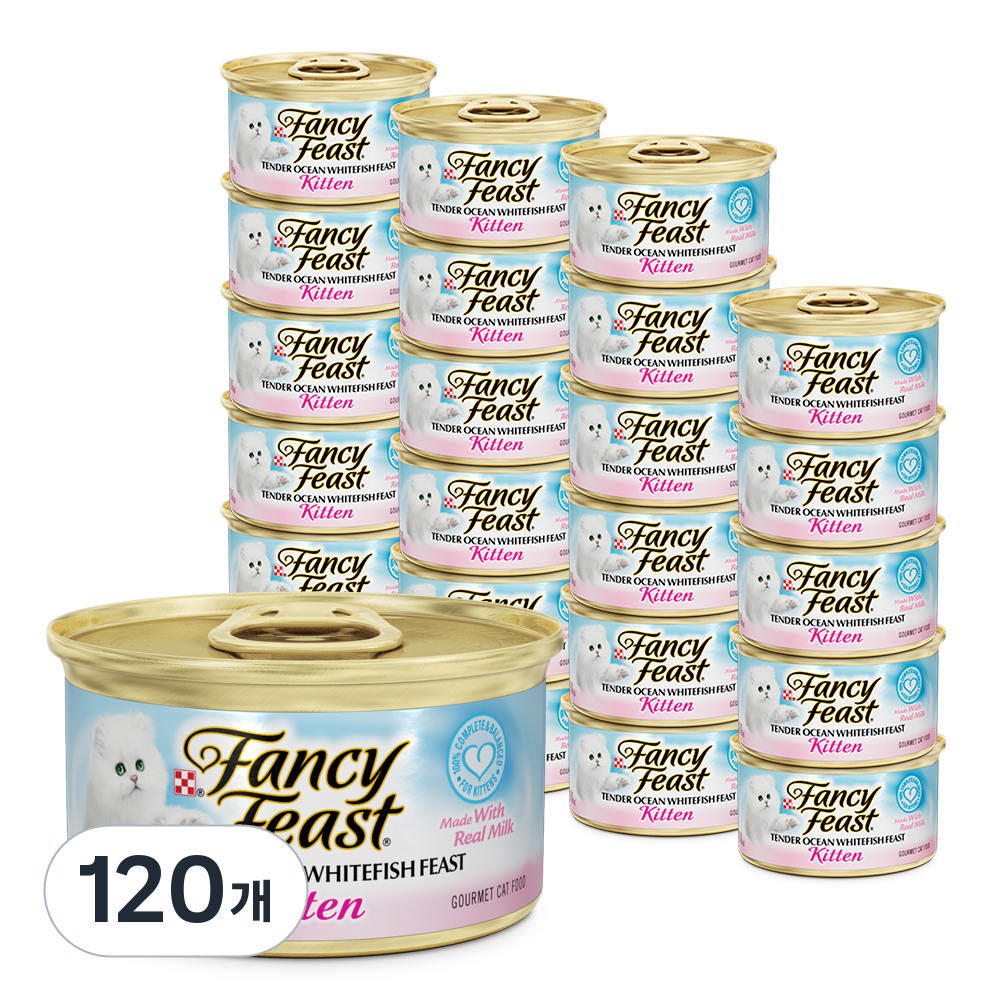 팬시피스트 키튼 고양이 텐더 148,000원