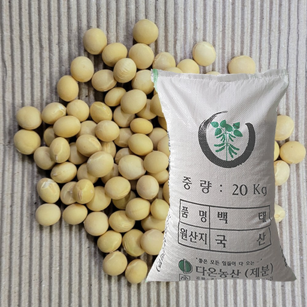 [다온농산] 2025년산 국산 백태/메주콩/흰콩/두부콩 -20Kg- (강원도 홍천,인제 농가), 20kg, 1개 131,800원