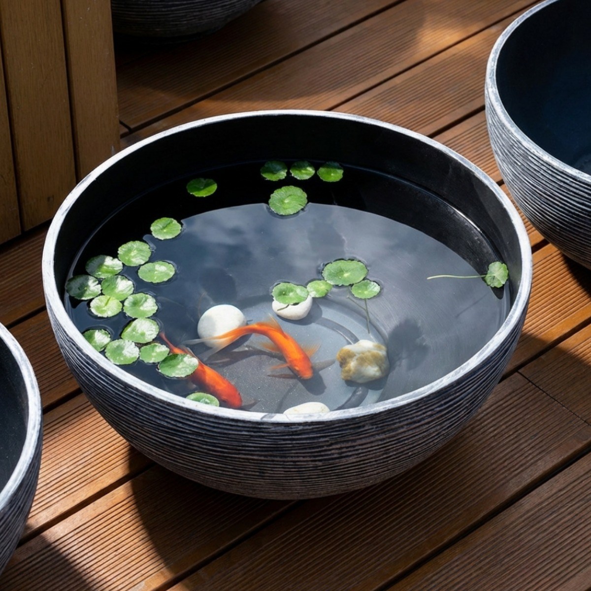 리비아쿠아 플라스틱 대형 수반 어항, 그레이 26,000원