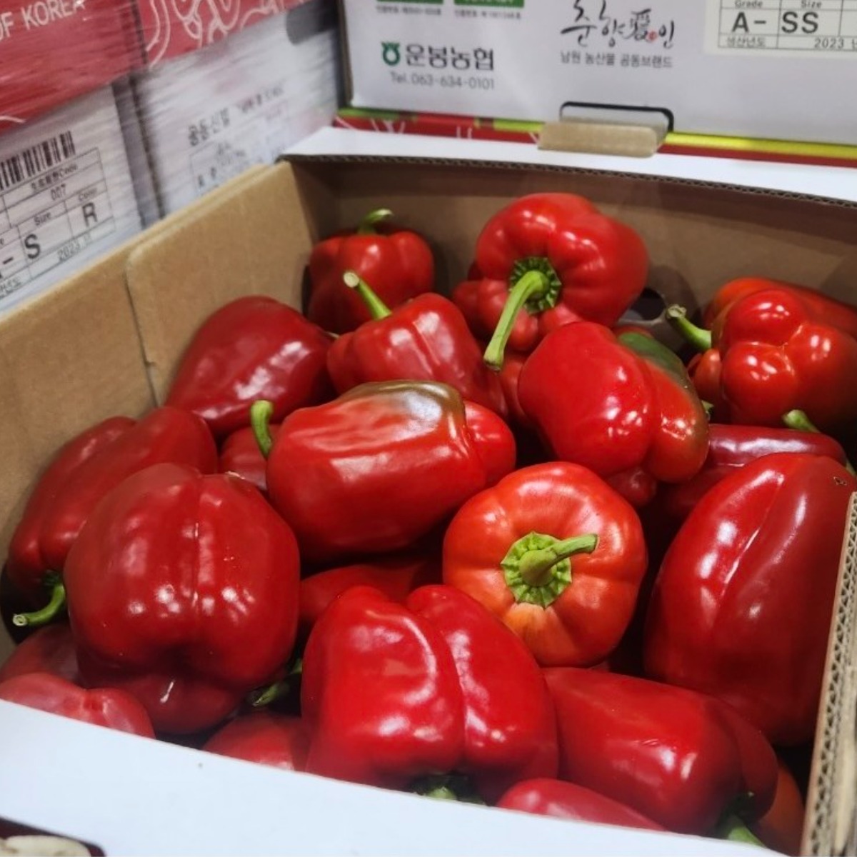노란 주황 빨간 파프리카 못난이 1kg 2kg [원산지:국산], 1개 11,000원