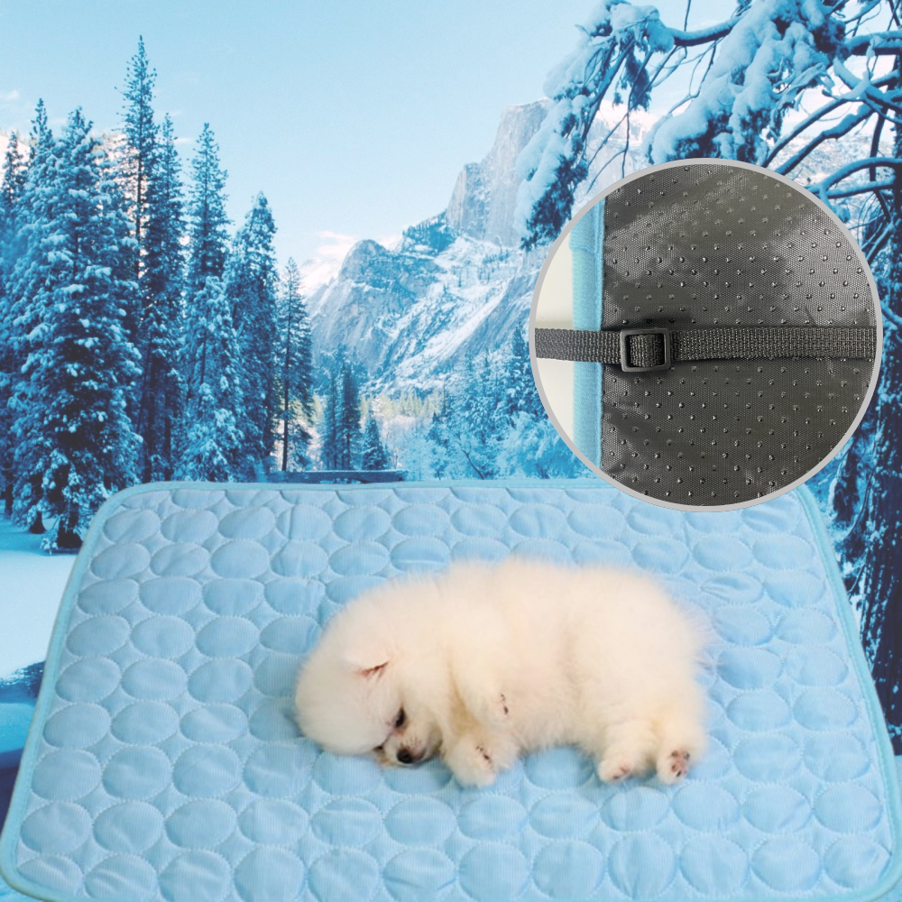 홈덴 강아지 애견 쿨매트, 1개 10,400원