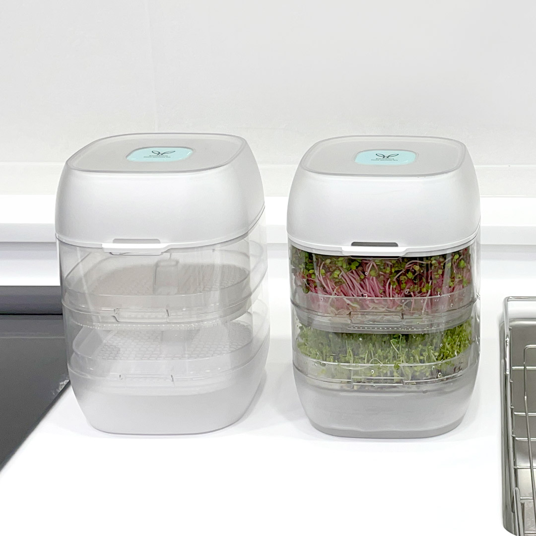 [코아코아] 새싹채소 수경재배기 코아순 2단 31,350원