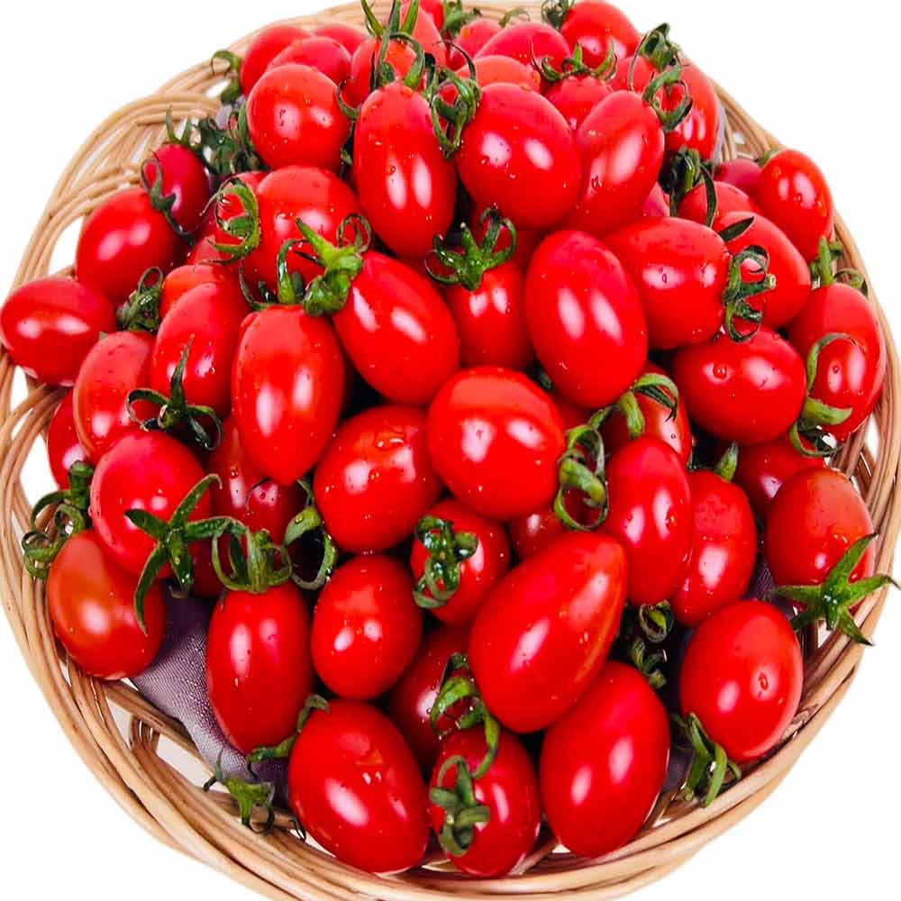 농부곳간 대추 방울토마토, 1개, 2kg(1-2번과 대과) 19,900원