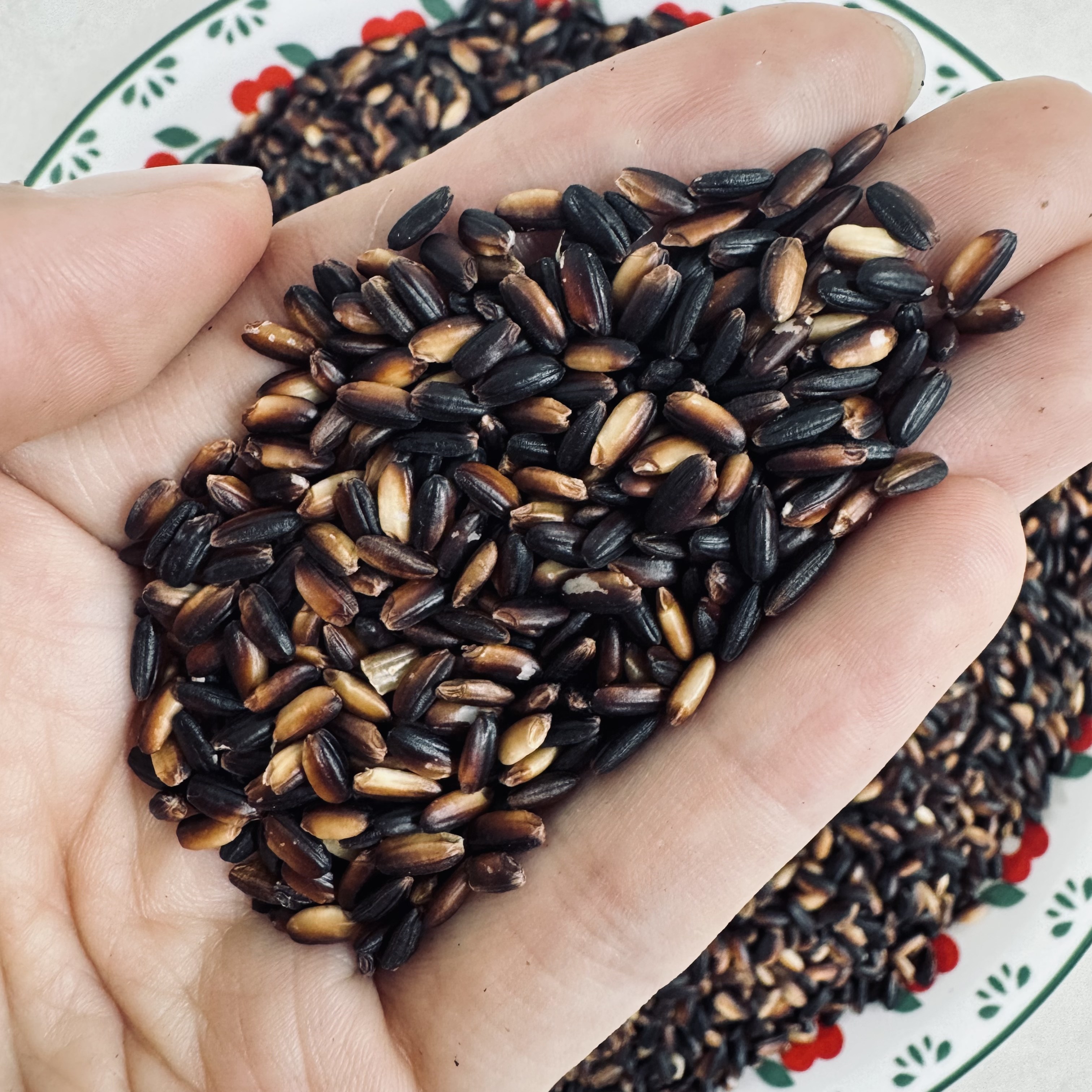 영원농산 국산 25년산 진도 특품 찰흑미 1kg 검정쌀 흑미밥 검은쌀 흑미쌀, 1개, 1kg 6,700원