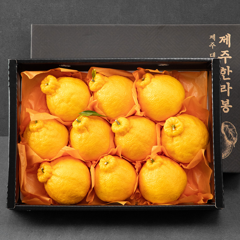 귤탐 고당도 한라봉 선물세트 25,900원