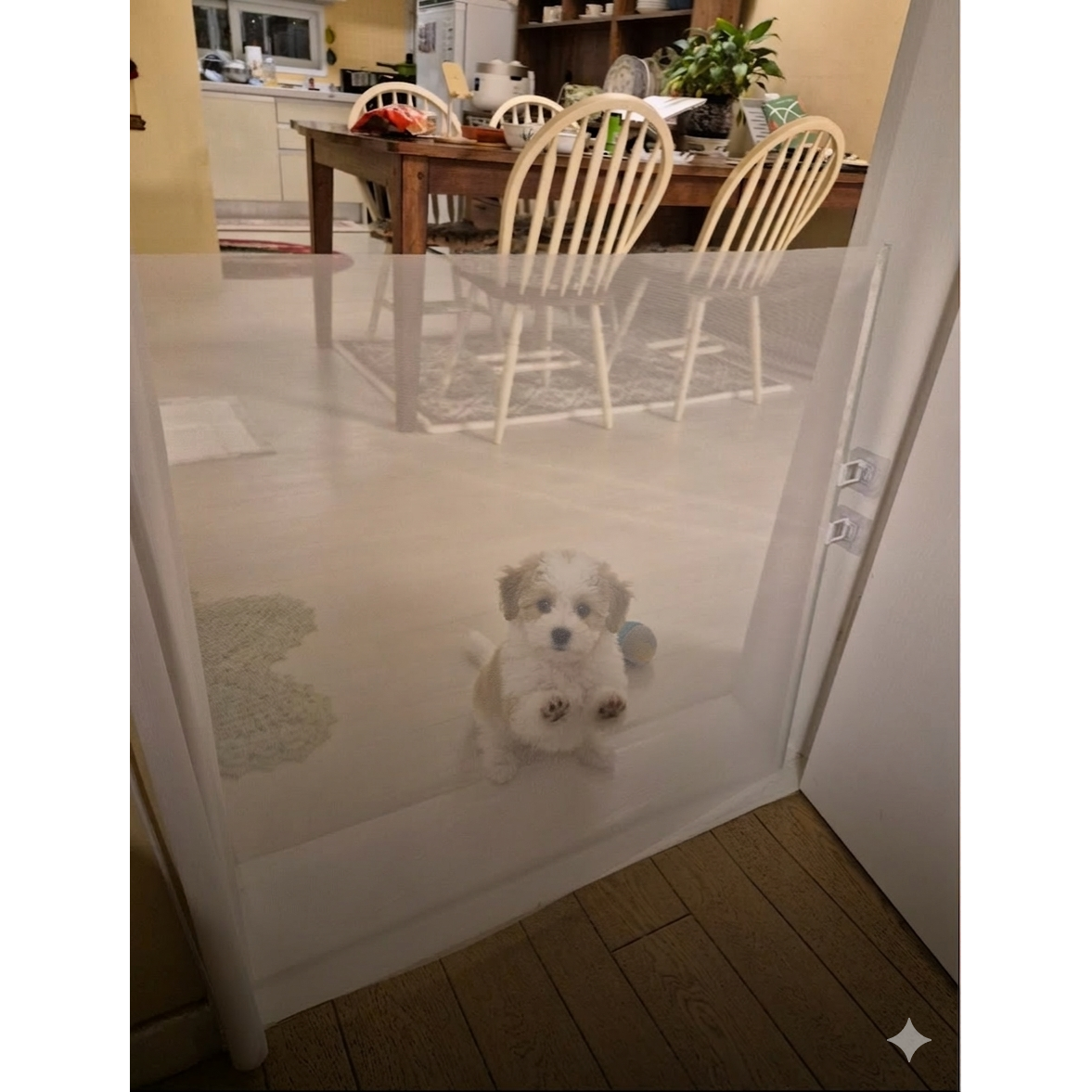 모노리 반려동물 무타공 슬라이딩 길이조절 안전문 메쉬 울타리 가림막 펜스 10,800원