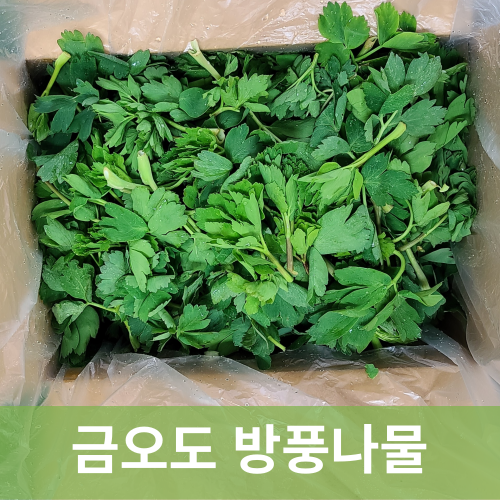 [신진농산] 여수 금오도 햇 방풍나물, 2kg, 1개 16,900원