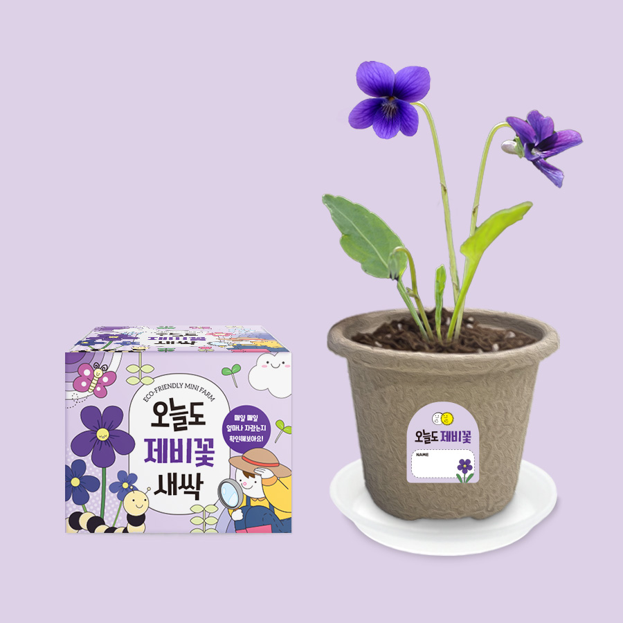 오늘도새싹 식물키우기 제비꽃 미니화분, 48개 120,000원