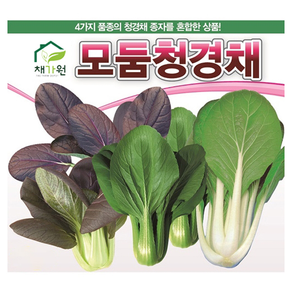 채가원 아시아종묘 모둠청경채 씨앗 2000립 3,660원