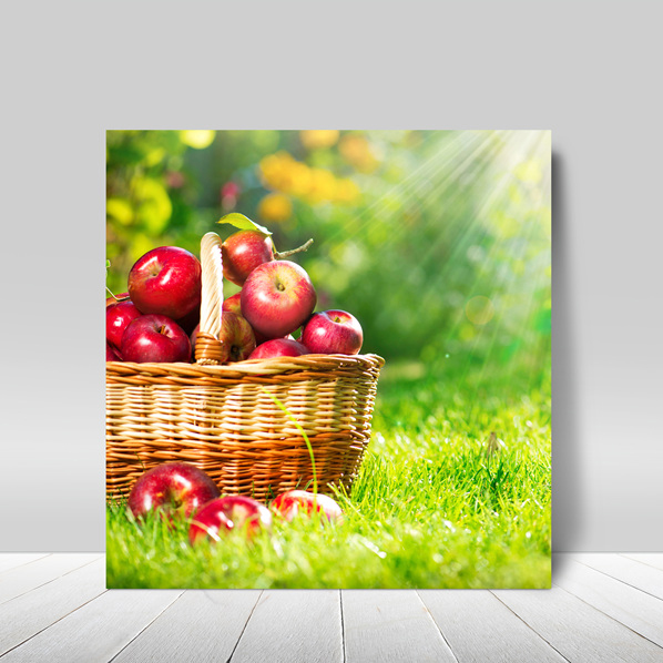 피앤피몰 사과액자 돈들어오는인테리어 사진 풍수지리 개업선물 행운 재물운 액자 모음, 1개 68,000원