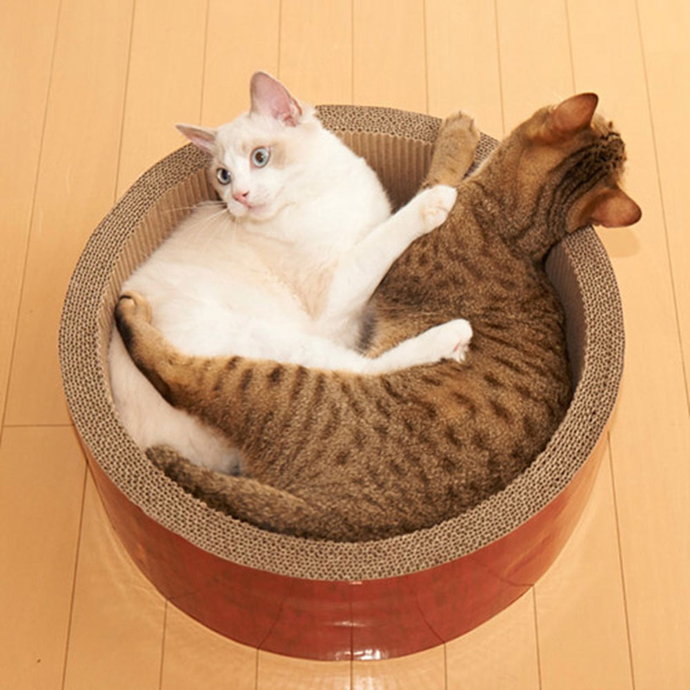 가리가리 서클점보 (3762) 21,000원